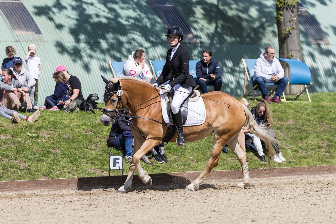 Bild 102 - Pony Akademie Turnier